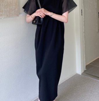 Organza Sleeve Dress