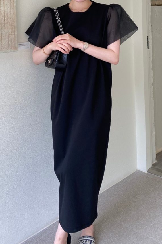 Organza Sleeve Dress